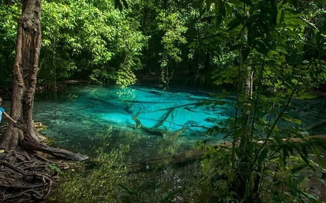 The Emerald Pool in Krabi's rainforest